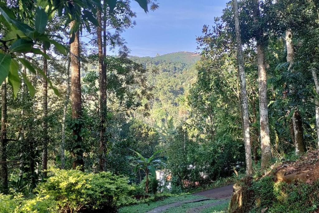 Coffee Camp Home Stay With Tree House Kattappana Exterior photo