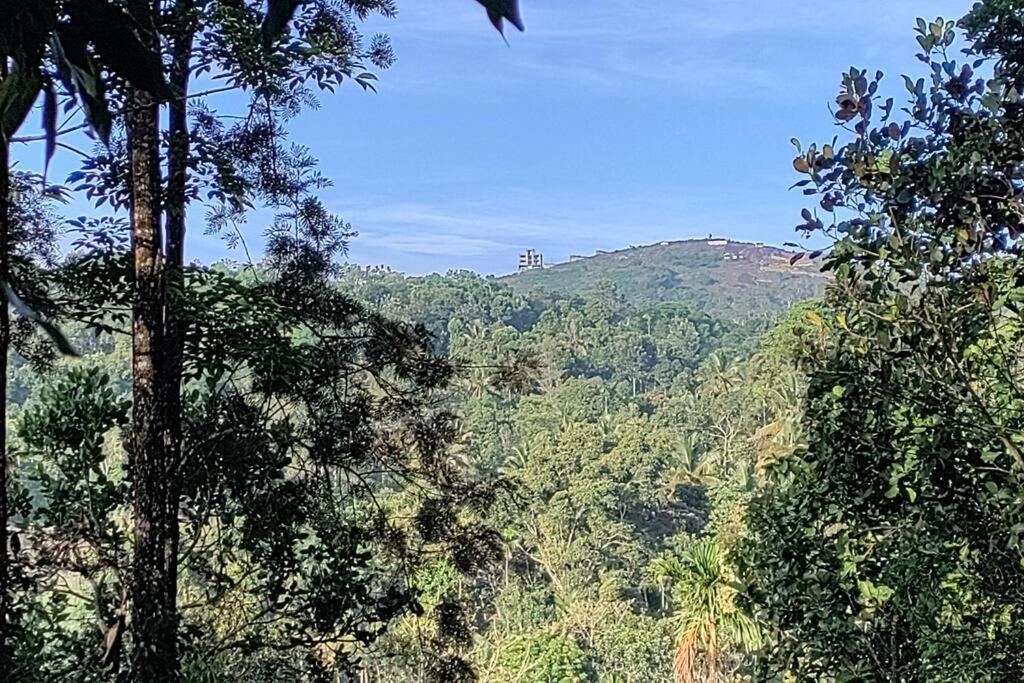 Coffee Camp Home Stay With Tree House Kattappana Exterior photo