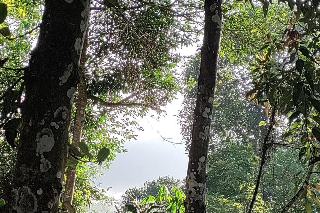Coffee Camp Home Stay With Tree House Kattappana Exterior photo