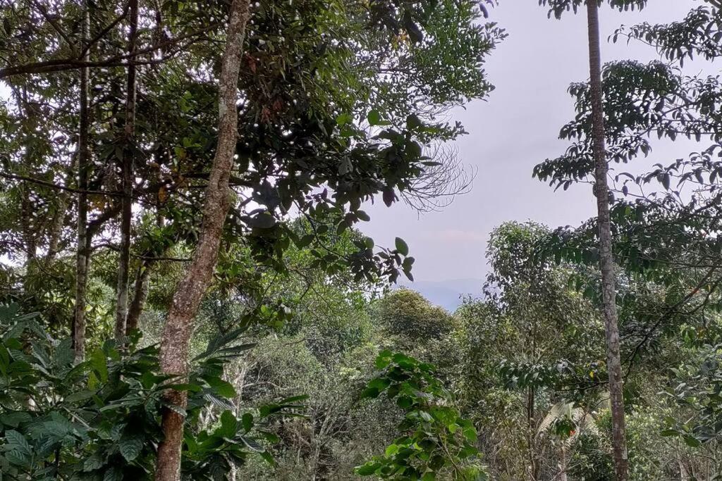 Coffee Camp Home Stay With Tree House Kattappana Exterior photo