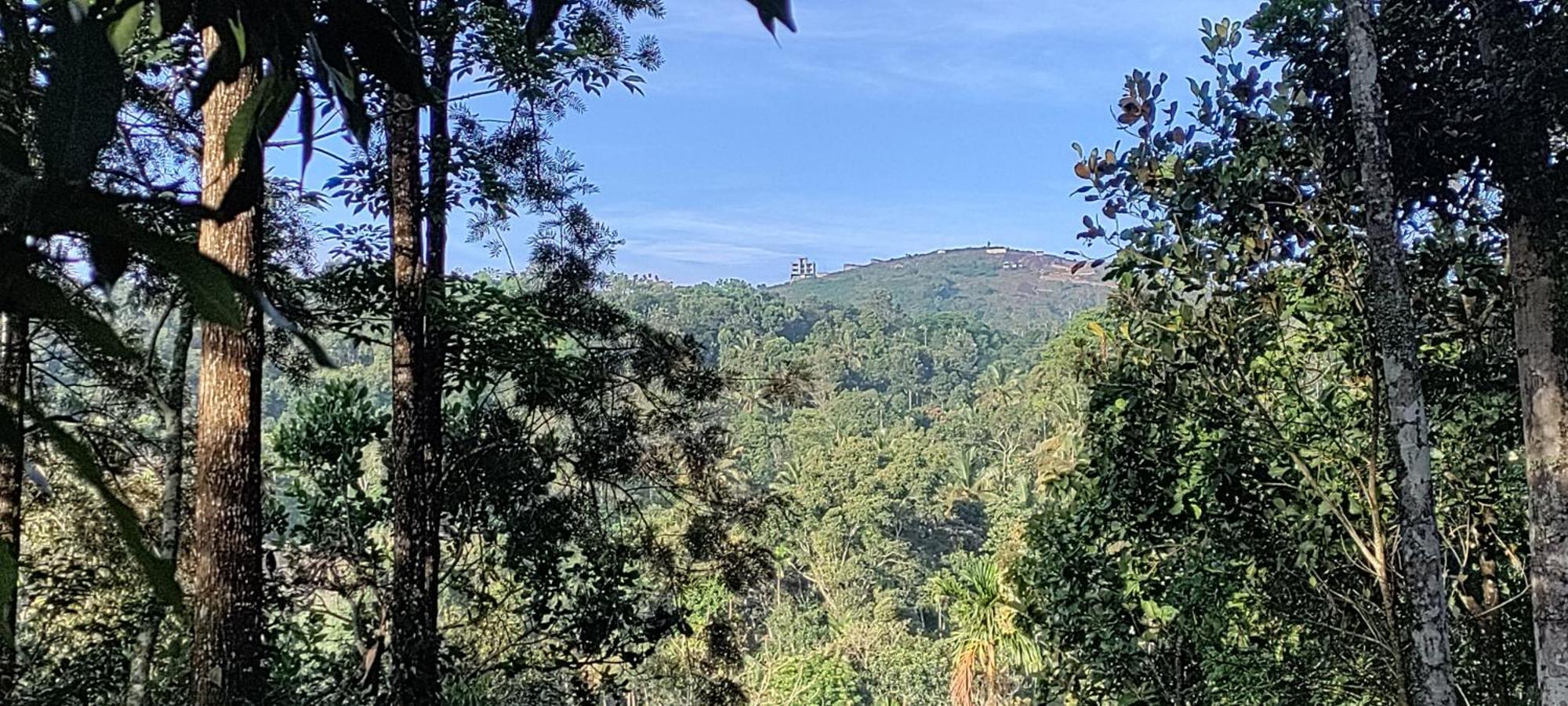 Coffee Camp Home Stay With Tree House Kattappana Exterior photo